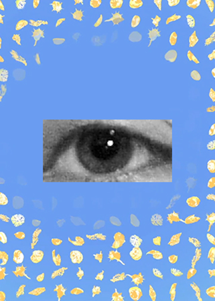 Gaze eyetracking interactive machine vision artwork