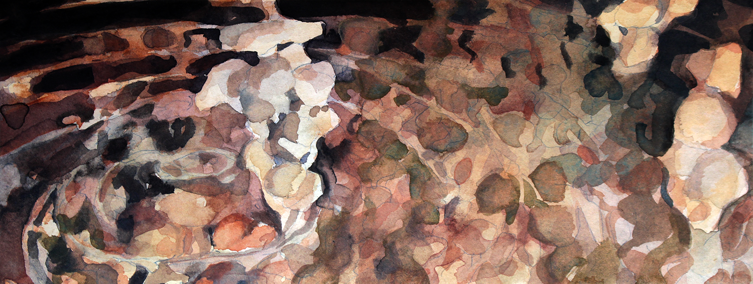 'Mushroom', Watercolour on archival cotton paper, 100 x 250mm, 2020